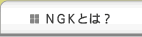 NGK¤È¤Ï¡© NGK¤È¤Ï¡©